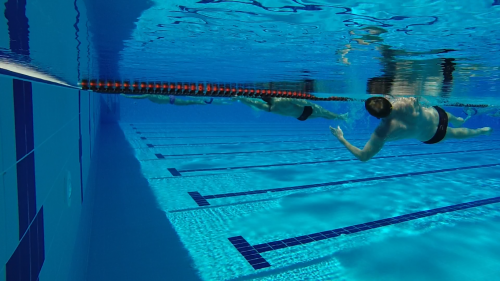 Svømmetræningslejr Titanic Deluxe Belek