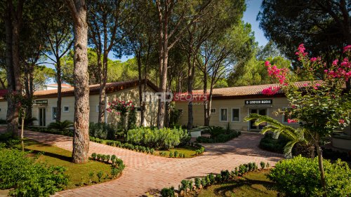 Футбольный тренировочный лагерь в Bellis Deluxe Hotel